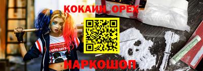 кокс Бердск